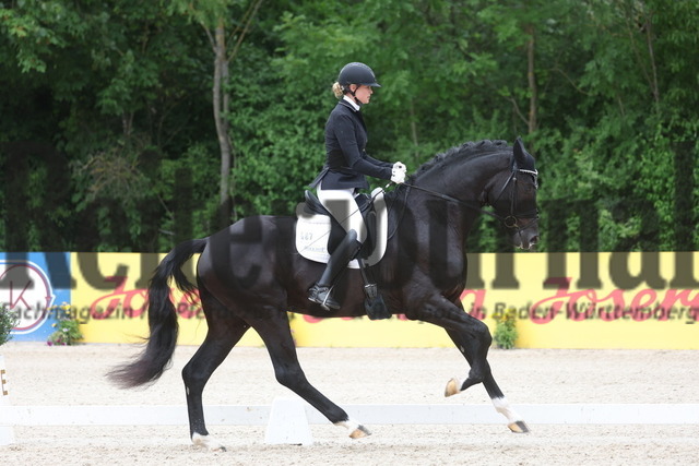 Weilheim_2023_Prfg.Nr.18_3-u.4jähr.Hengste_Anna-Lisa Schepper_Barbossa 7 (24) | Alle Fotos der Reiterjournal Fotografin Doris Matthaes im Reiterjournal Online-Fotoshop. - Realisiert mit Pictrs.com