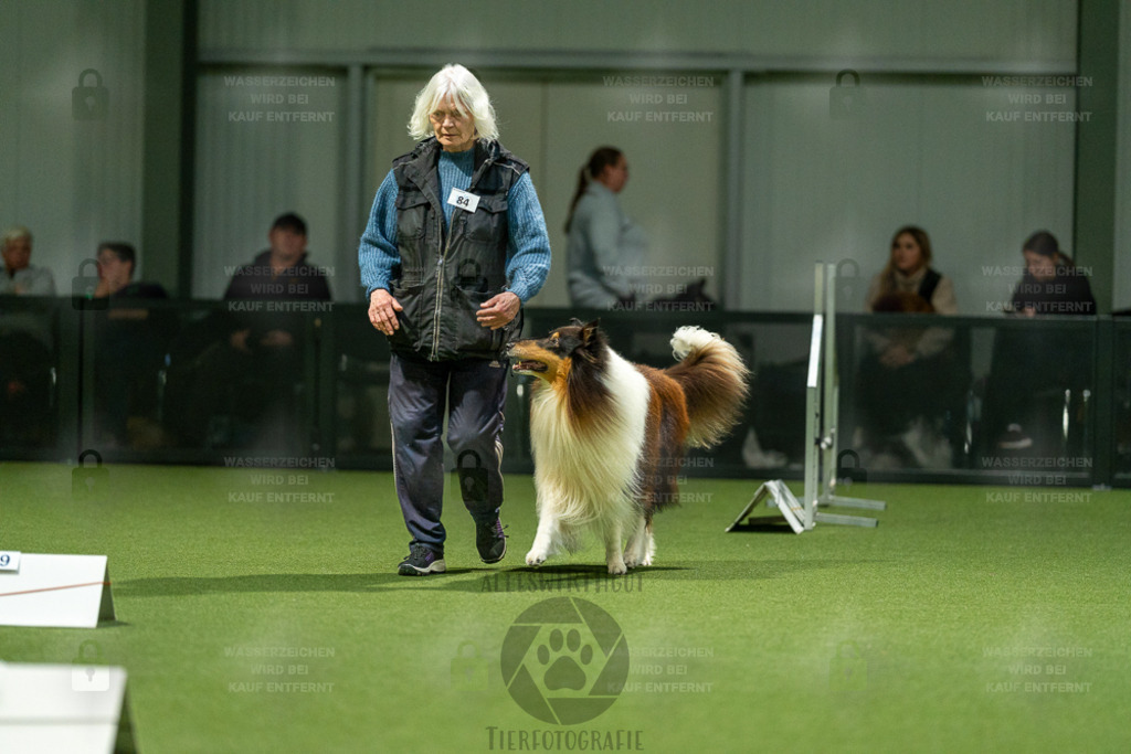 7IV03243 | Professionelle Tierfotografie in Mönchengladbach von Daniel Wirth (allesWIRTHgut). Liebevolle & natürliche Bilder von Hunden & Katzen für unvergessliche Erinnerungen.