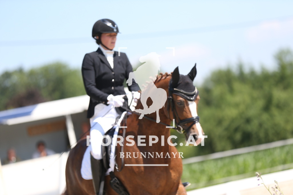AS8V3352 | Willkommen bei Brunnmayr - Design & Fotografie – Ihrem Spezialisten für Reitturniere und Pferdeveranstaltungen in Oberösterreich, Salzburg und Bayern! Seit über 17 Jahren sind wir leidenschaftlich dabei.