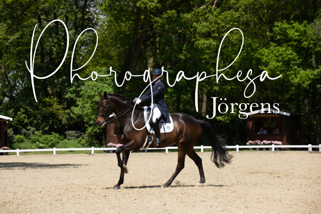 IMG_5226 | photographesa-joergens - Realisiert mit Pictrs.com