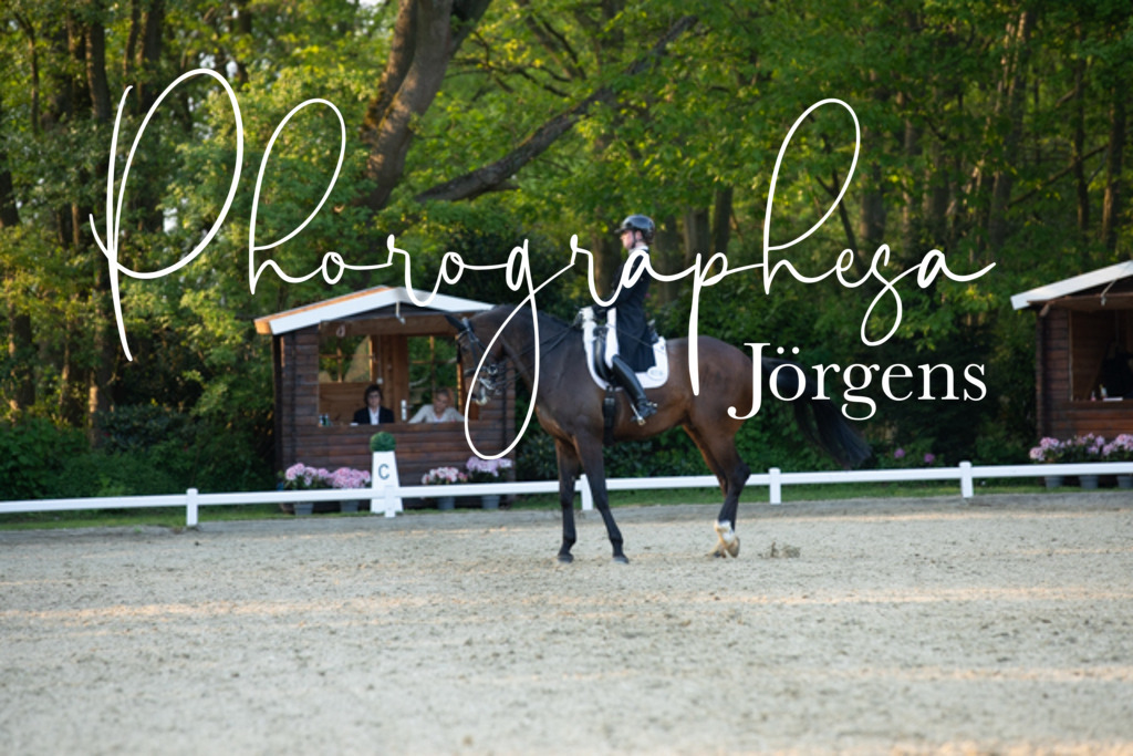 IMG_9243 | photographesa-joergens - Realisiert mit Pictrs.com