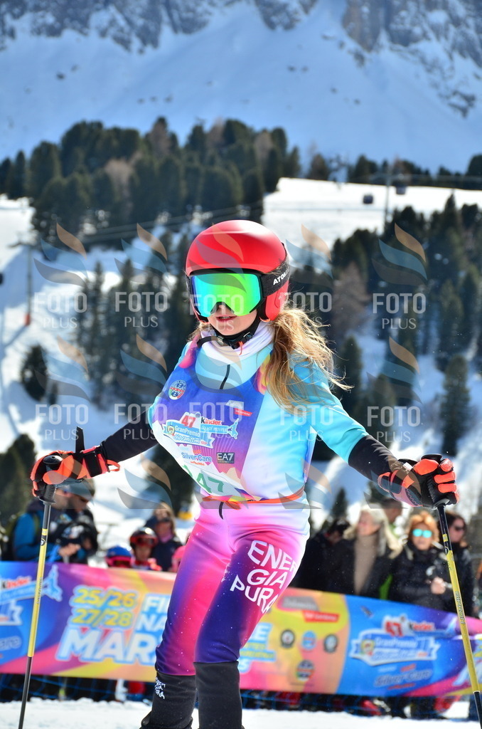 SLV_6318 | holidayphoto