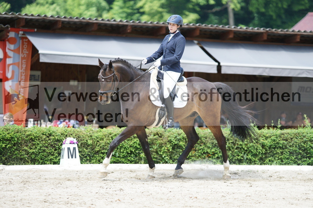 DSC05106 | equestrian-live-com