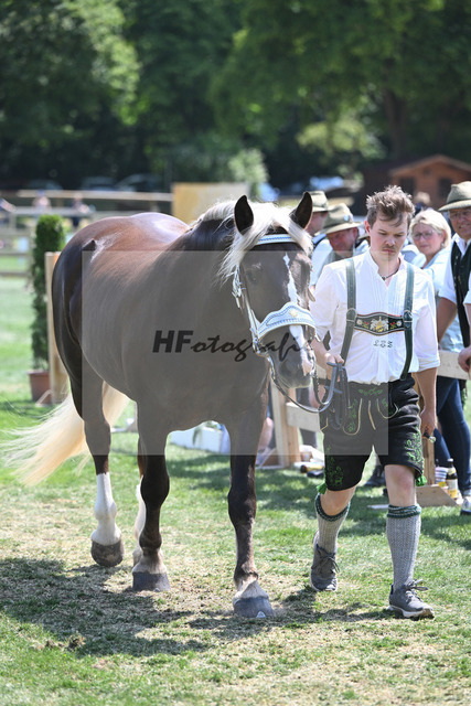 Kat-Nr. 63 Isar_Zwickl_20231026 | hf-fotografie - Realisiert mit Pictrs.com