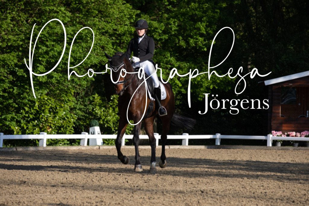 IMG_2377 | photographesa-joergens - Realisiert mit Pictrs.com