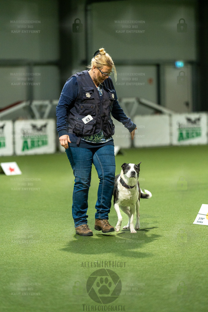 7IV09216 | Professionelle Tierfotografie in Mönchengladbach von Daniel Wirth (allesWIRTHgut). Liebevolle & natürliche Bilder von Hunden & Katzen für unvergessliche Erinnerungen.