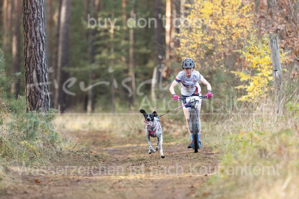 CJ8A3082 | Herzlich Willkommen im Onlineshop von tierische Augenblicke.
Viel Spaß beim aussuchen ihrer Bilder und vielen Dank für ihren Einkauf.
Viele Grüße, ihr Fotograf Stefan Grube