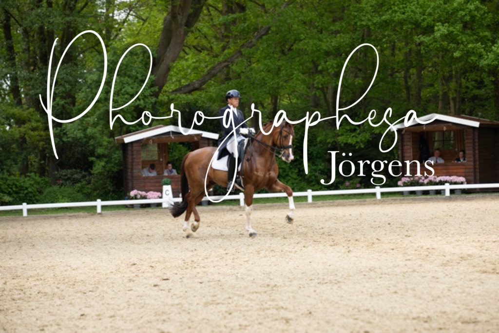 IMG_3158 | photographesa-joergens - Realisiert mit Pictrs.com