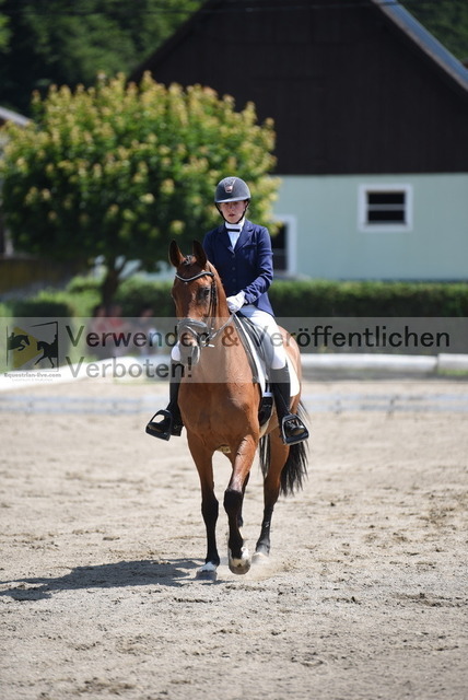 DSC_8641 | equestrian-live-com