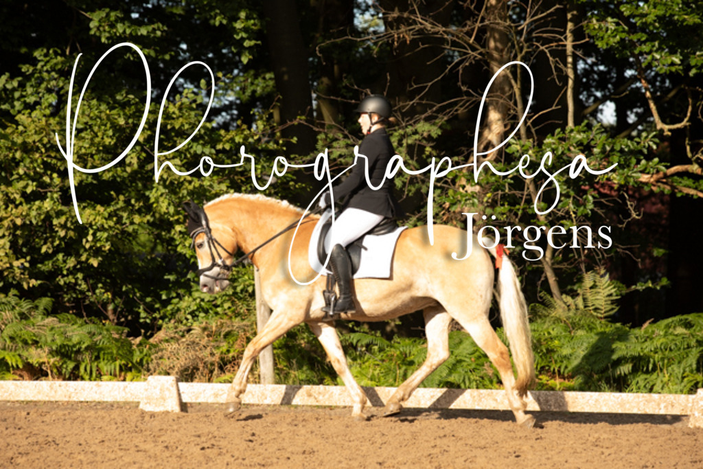 IMG_1054 | photographesa-joergens - Realisiert mit Pictrs.com
