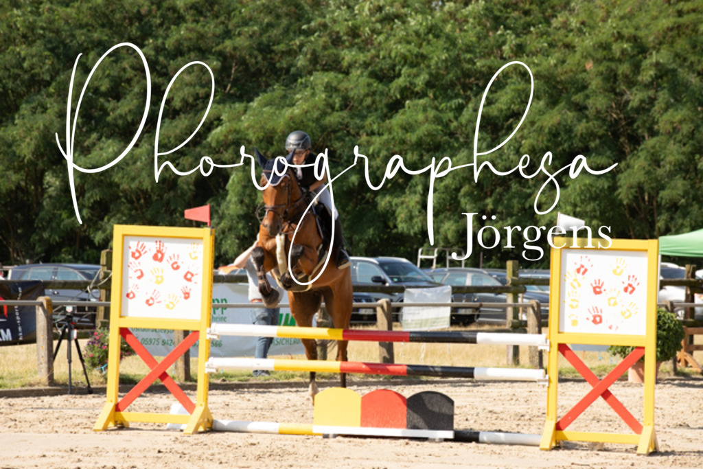 IMG_2681 | photographesa-joergens - Realisiert mit Pictrs.com