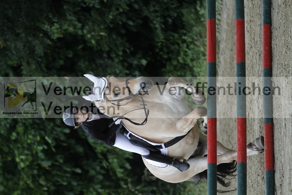 _MG_8646 | equestrian-live-com