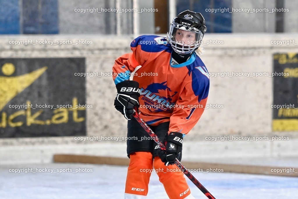 Dukes RINK Rumble Spittal a.d.Drau 9.-10.9.2023 | hockey sports photos, Pressefotos, Sportfotos, hockey247, win 2day icehockeyleague, Handball Austria, Floorball Austria, ÖVV, Kärntner Eishockeyverband, KEHV, KFV, Kärntner Fussballverband, Österreichischer Volleyballverband, Alps Hockey League, ÖFB, 