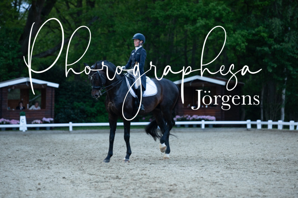 IMG_9820 | photographesa-joergens - Realisiert mit Pictrs.com