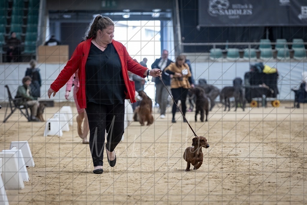 DS - Best in Show_0008 | Markus Heber Photography
