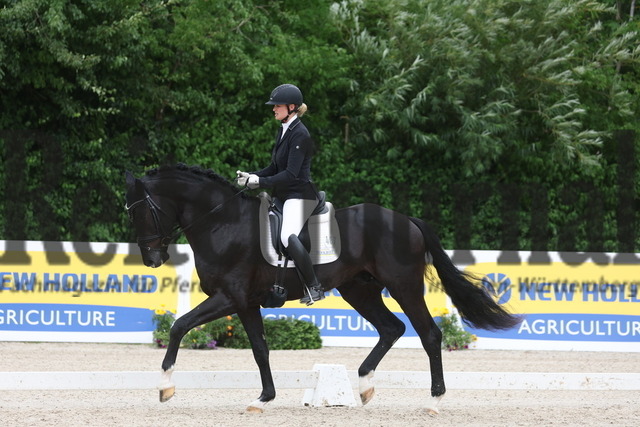 Weilheim_2023_Prfg.Nr.18_3-u.4jähr.Hengste_Anna-Lisa Schepper_Barbossa 7 (1) | Alle Fotos der Reiterjournal Fotografin Doris Matthaes im Reiterjournal Online-Fotoshop. - Realisiert mit Pictrs.com