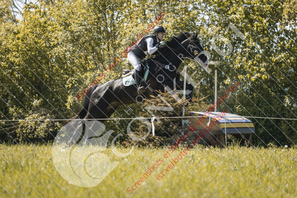 IMG_4539 | Hier findest Du viele Augenblicke aus den Bereichen der Turnier-, Sport- & Tierfotografie. Bilder mit deinem Liebling, Portrait-, Bewerbungs-, Businessbilder können ebenfalls schnell und einfach erstellt werden.