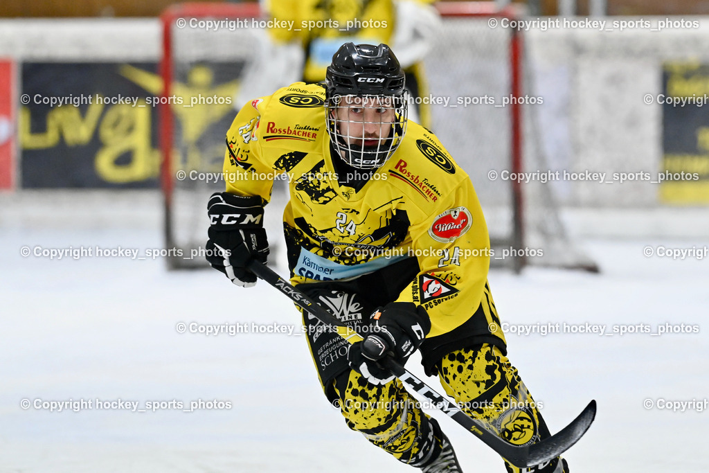 EC Liwodruck Hornets Spittal vs. EHC Althofen 7.1.2023 | #24 Brunner Noel