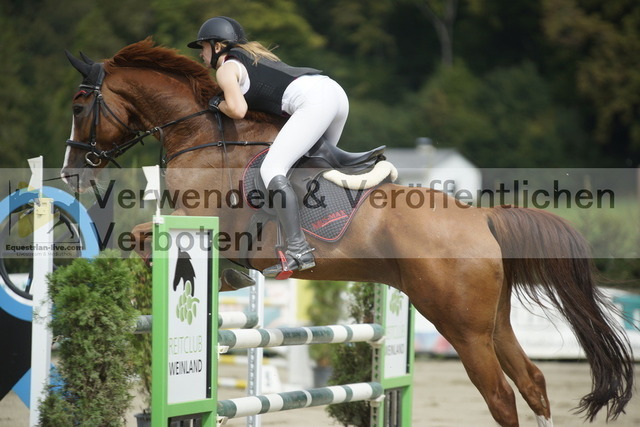 _DSC2917 | equestrian-live-com