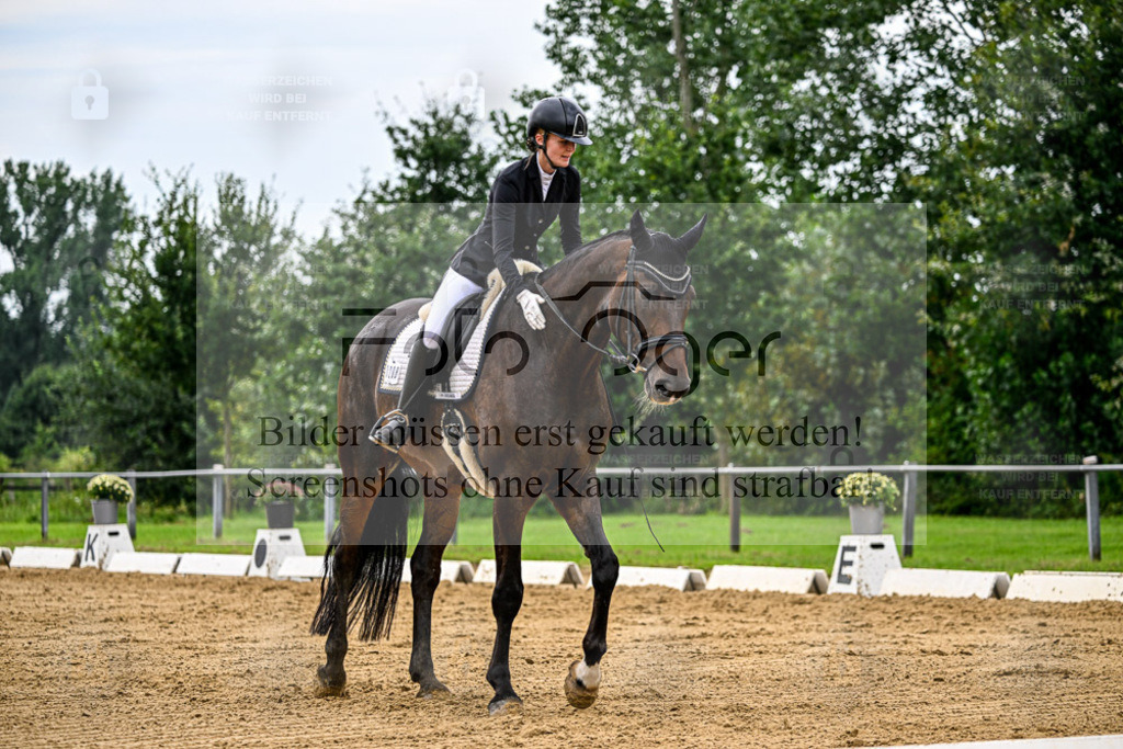 Reitturnier Hasbergen | Bilder aus dem Reitsport by Foto Oger - Domenic Schlinge - Realisiert mit Pictrs.com