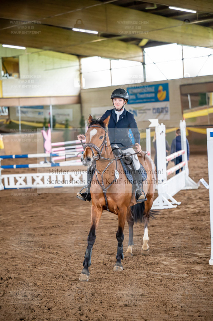 Reitturnier Bad Iburg | Bilder aus dem Reitsport by Foto Oger - Domenic Schlinge - Realisiert mit Pictrs.com