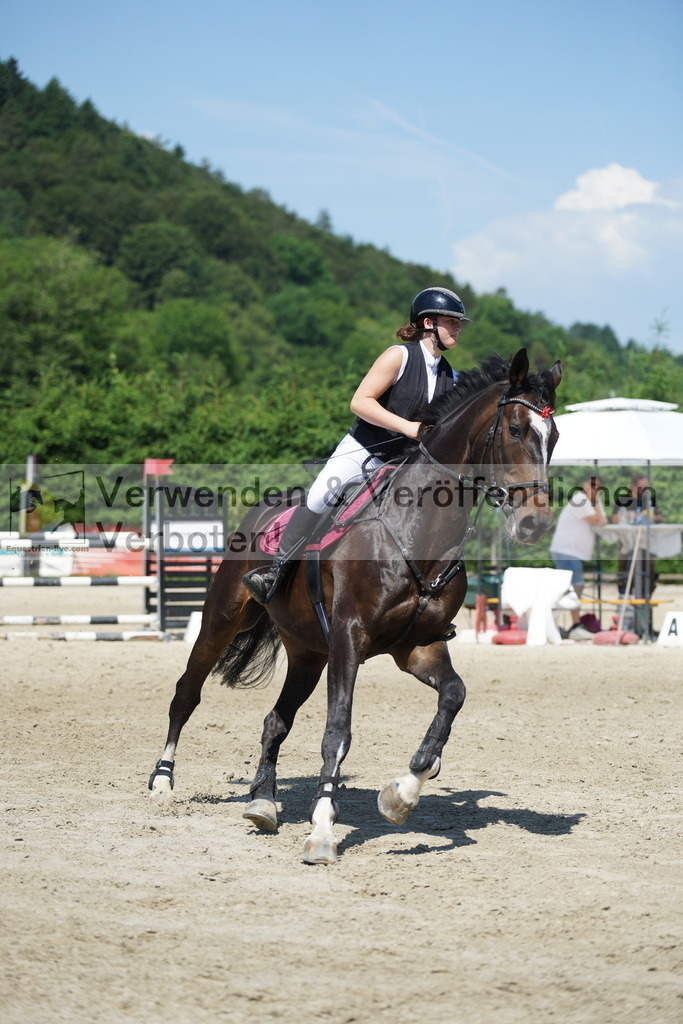 DSC00490 | equestrian-live-com