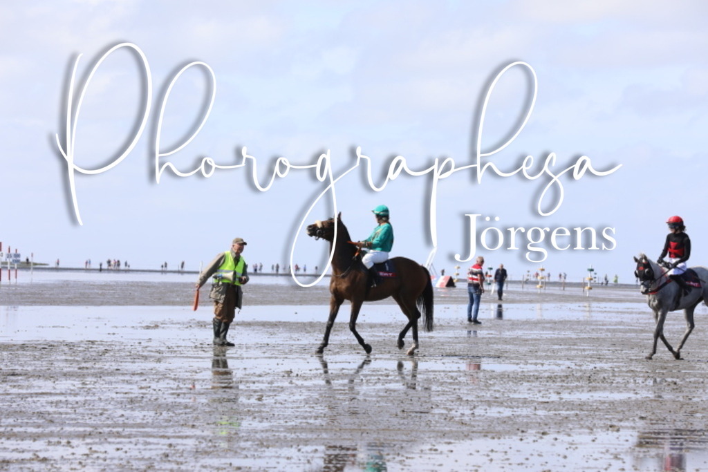 IMG_8488 | photographesa-joergens - Realisiert mit Pictrs.com