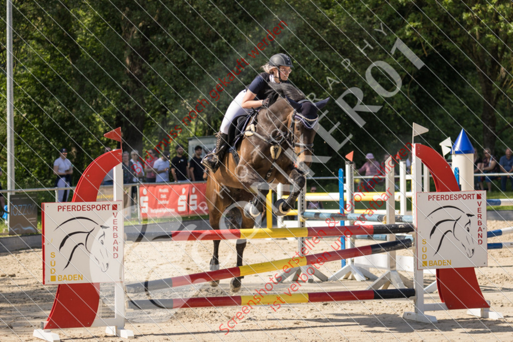 IMG_2166 | Hier findest Du viele Augenblicke aus den Bereichen der Turnier-, Sport- & Tierfotografie. Bilder mit deinem Liebling, Portrait-, Bewerbungs-, Businessbilder können ebenfalls schnell und einfach erstellt werden.