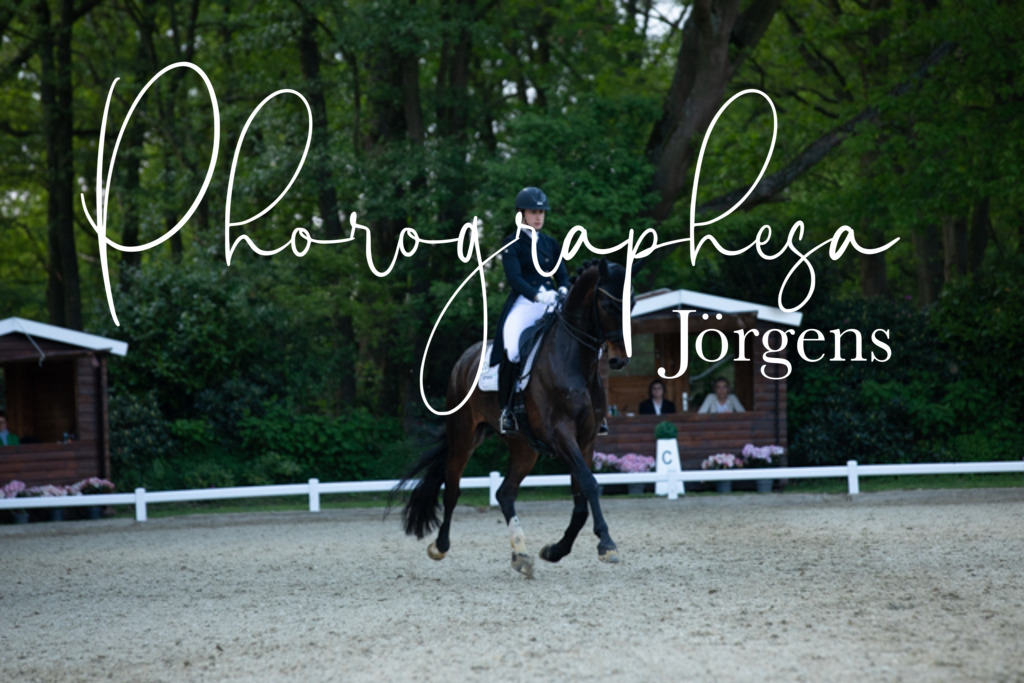 IMG_9430 | photographesa-joergens - Realisiert mit Pictrs.com