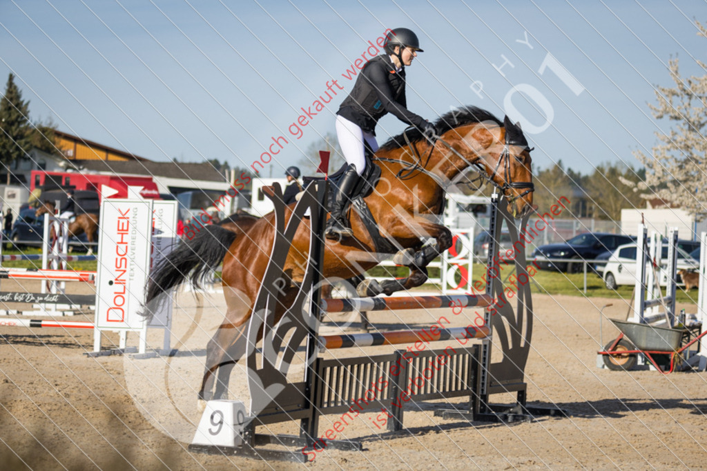 IMG_4440 | Hier findest Du viele Augenblicke aus den Bereichen der Turnier-, Sport- & Tierfotografie. Bilder mit deinem Liebling, Portrait-, Bewerbungs-, Businessbilder können ebenfalls schnell und einfach erstellt werden.