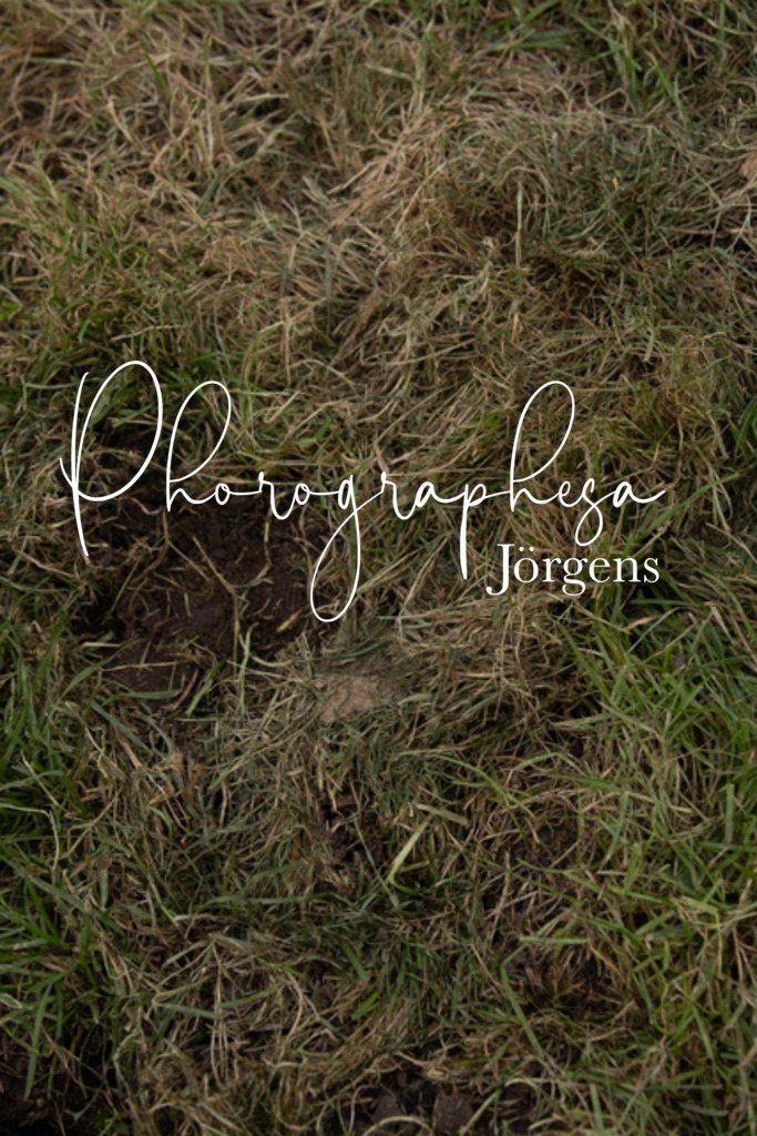 IMG_9610 | photographesa-joergens - Realisiert mit Pictrs.com
