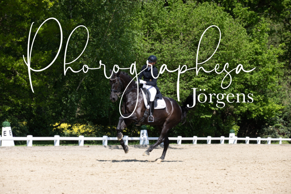 IMG_4180 | photographesa-joergens - Realisiert mit Pictrs.com