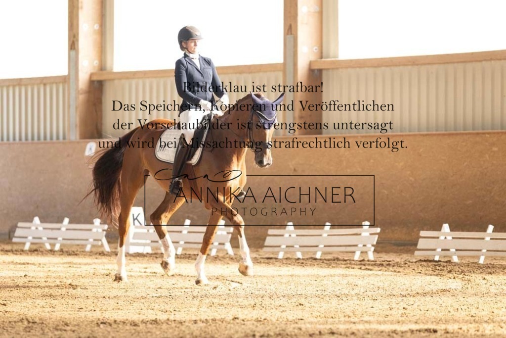 CK4A8615 | Annika Aichner Fotografie | Turnierfotografin | Turniere Niederbayern | Springturnier | Dressurturnier | Obermünchen | Geisenhausen | Mainburg | Neukirchen | Turnierbilder | Turnierfotos | Reitsport - Realisiert mit Pictrs.com