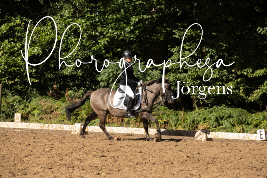 IMG_0123 | photographesa-joergens - Realisiert mit Pictrs.com