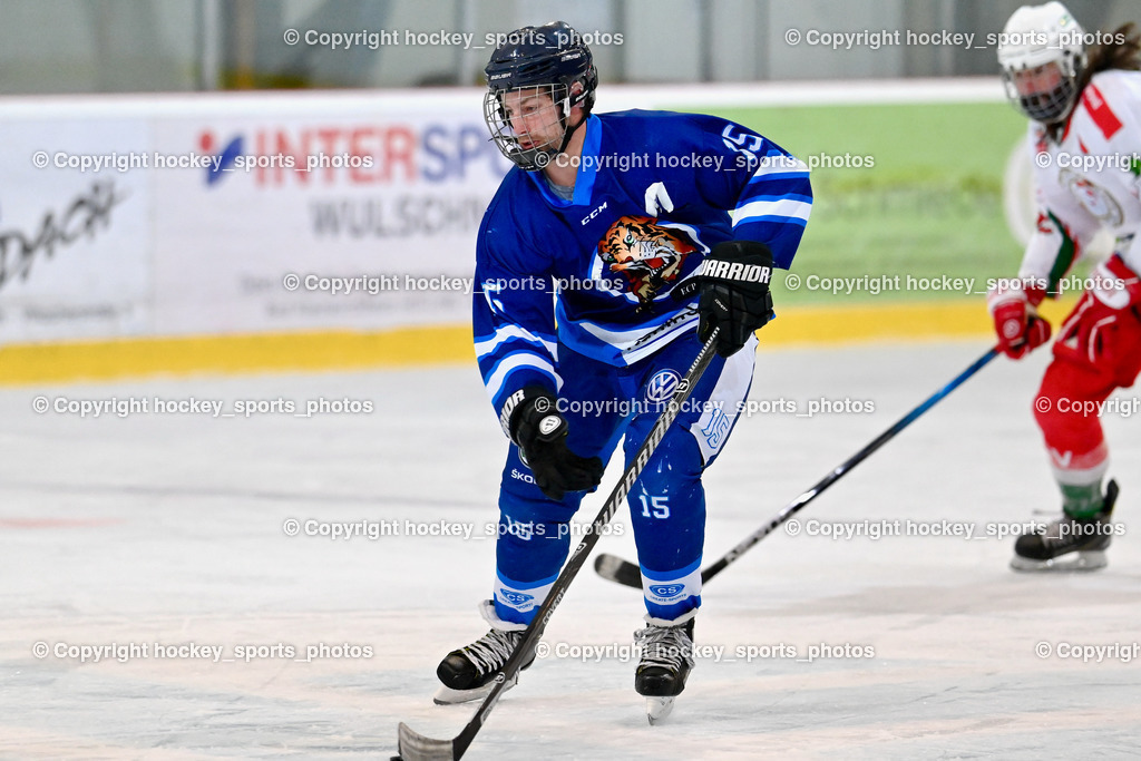 BST_9266 | hockey sports photos, Pressefotos, Sportfotos, hockey247, win 2day icehockeyleague, Handball Austria, Floorball Austria, ÖVV, Kärntner Eishockeyverband, KEHV, KFV, Kärntner Fussballverband, Österreichischer Volleyballverband, Alps Hockey League, ÖFB, 