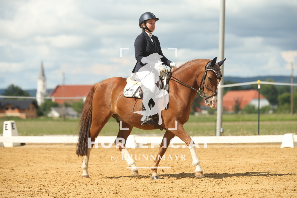 AS8V2126 | Willkommen bei Brunnmayr - Design & Fotografie – Ihrem Spezialisten für Reitturniere und Pferdeveranstaltungen in Oberösterreich, Salzburg und Bayern! Seit über 17 Jahren sind wir leidenschaftlich dabei.