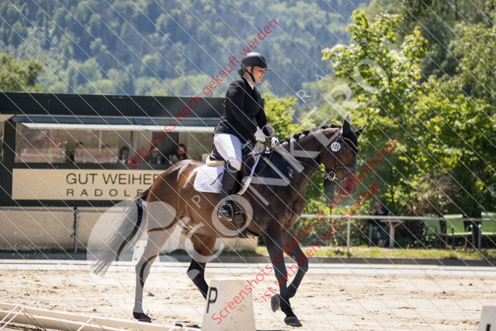 IMG_6094 | Hier findest Du viele Augenblicke aus den Bereichen der Turnier-, Sport- & Tierfotografie. Bilder mit deinem Liebling, Portrait-, Bewerbungs-, Businessbilder können ebenfalls schnell und einfach erstellt werden.