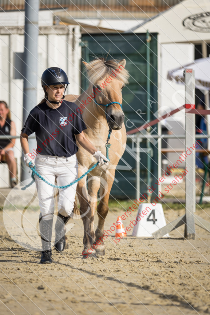 IMG_7344 | Hier findest Du viele Augenblicke aus den Bereichen der Turnier-, Sport- & Tierfotografie. Bilder mit deinem Liebling, Portrait-, Bewerbungs-, Businessbilder können ebenfalls schnell und einfach erstellt werden.