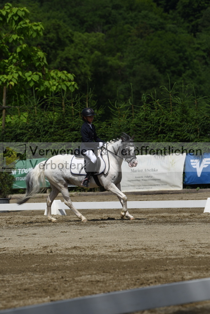 DSC_8793 | equestrian-live-com