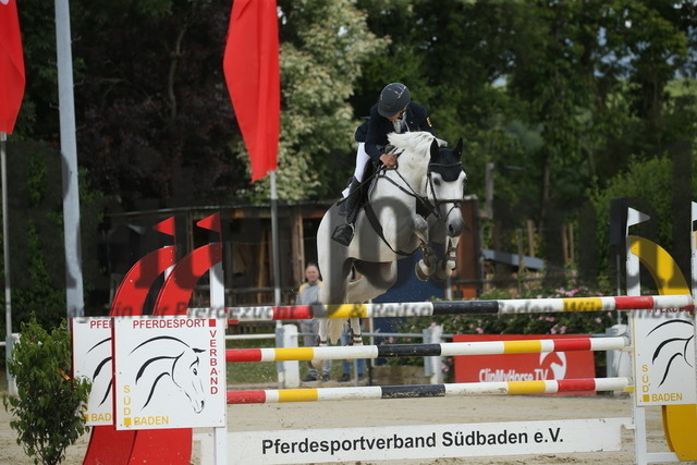 Schutterwald_2022_Springprüfung_Kl.S_m.St._Nick Armbruster_L.B. Culture III (1) | Alle Fotos der Reiterjournal Fotografin Doris Matthaes im Reiterjournal Online-Fotoshop. - Realisiert mit Pictrs.com