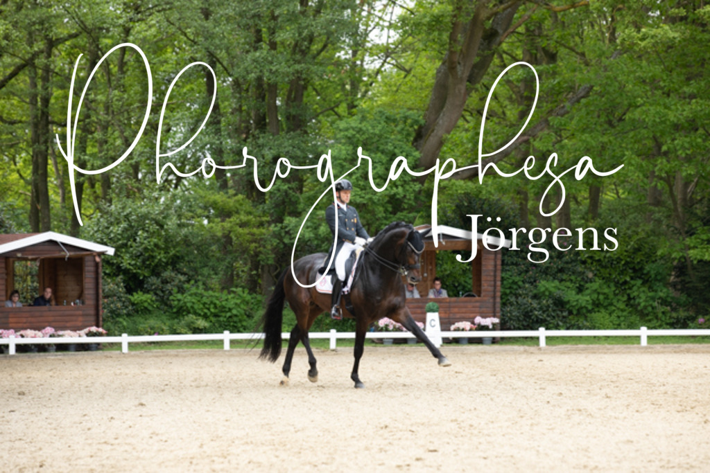 IMG_3258 | photographesa-joergens - Realisiert mit Pictrs.com