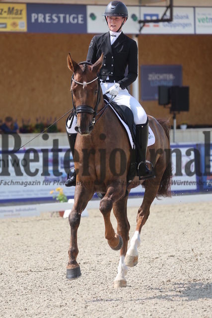 Birkhof_2024_Prfg.Nr.07_Dressurprfg.Kl.S_Amateure_Anne van Leeuwen_Benoit (20) | Alle Fotos der Reiterjournal Fotografin Doris Matthaes im Reiterjournal Online-Fotoshop. - Realisiert mit Pictrs.com