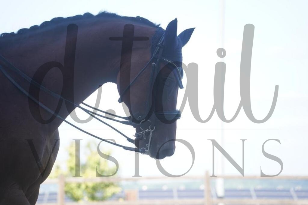 tgbhsonntag (445) | d.tail Visions - Shop - Realisiert mit Pictrs.com