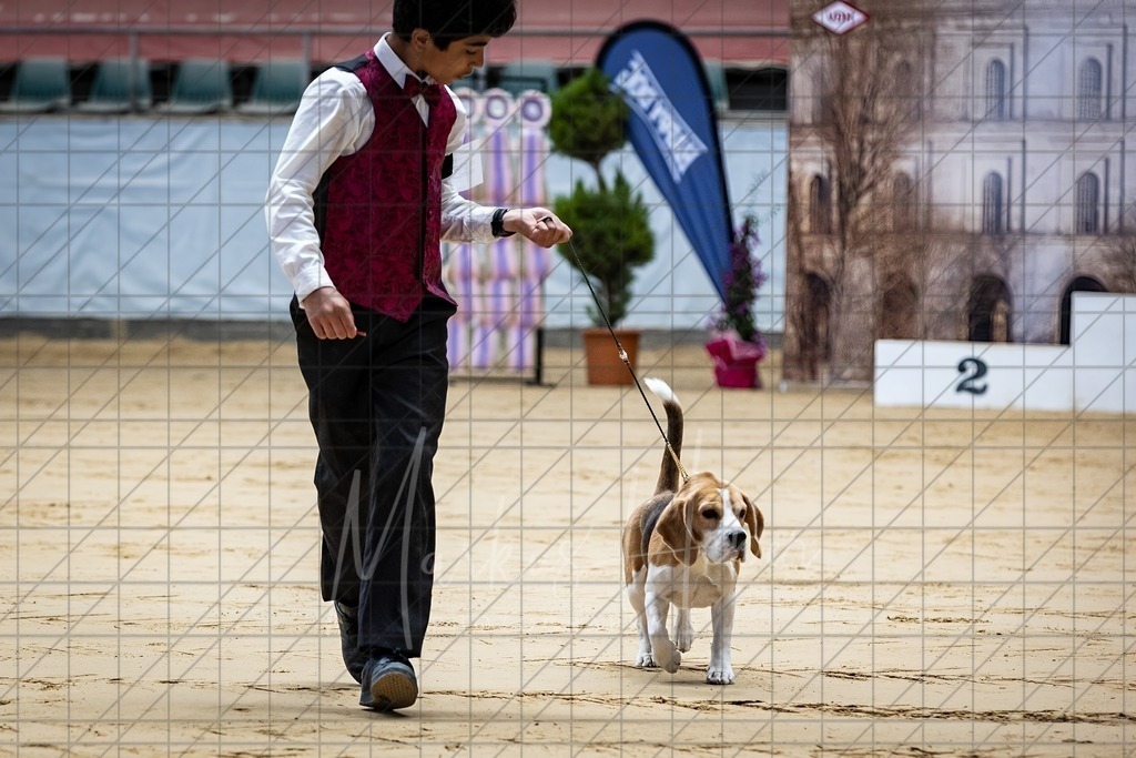 DS - Junior-Handling II_0048 | Markus Heber Photography