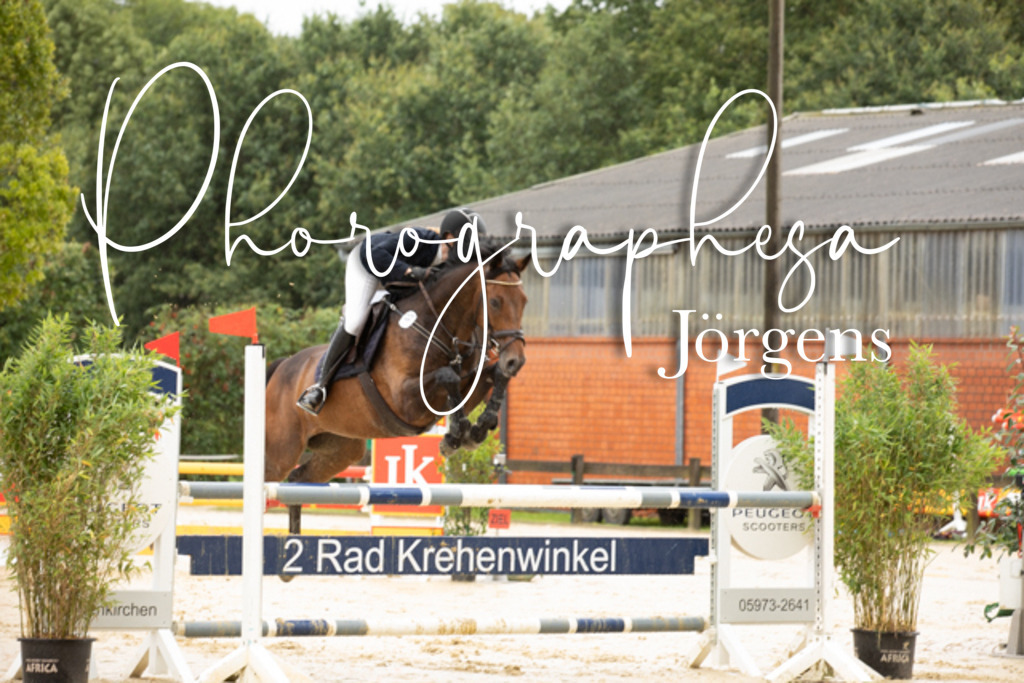IMG_6060 | photographesa-joergens - Realisiert mit Pictrs.com