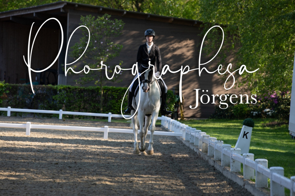 IMG_1029 | photographesa-joergens - Realisiert mit Pictrs.com