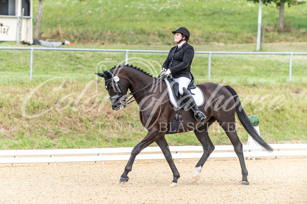 TBL_9282 | Turnierfotos von Reitturnieren in den Landkreisen Biberach, Ravensburg und in ganz Oberschwaben - von Tanja Bläschke - Colorsofahorse - Realisiert mit Pictrs.com