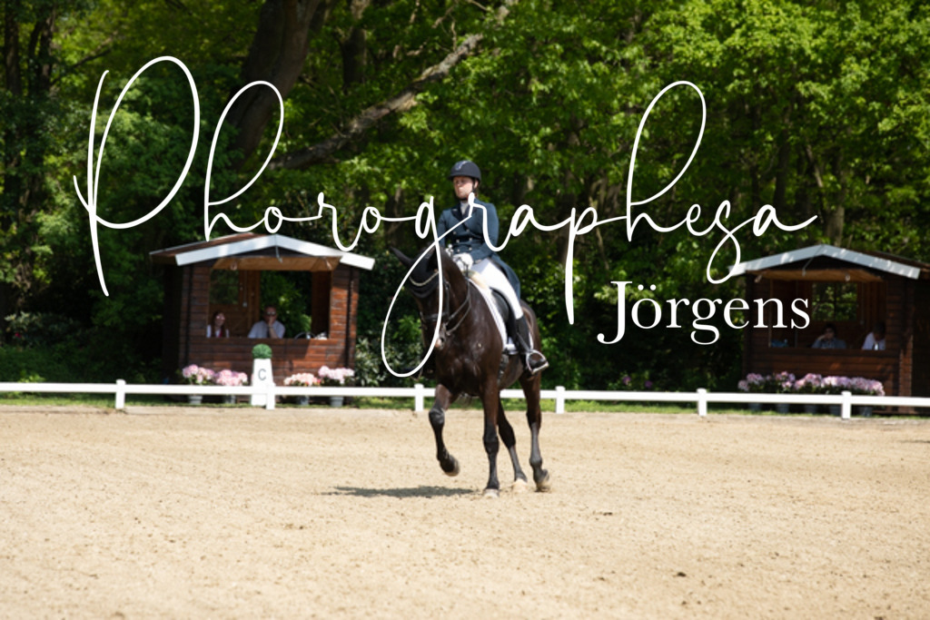 IMG_1124 | photographesa-joergens - Realisiert mit Pictrs.com