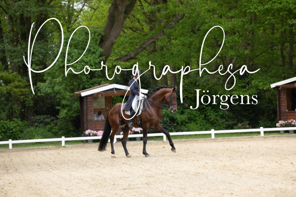 IMG_2372 | photographesa-joergens - Realisiert mit Pictrs.com