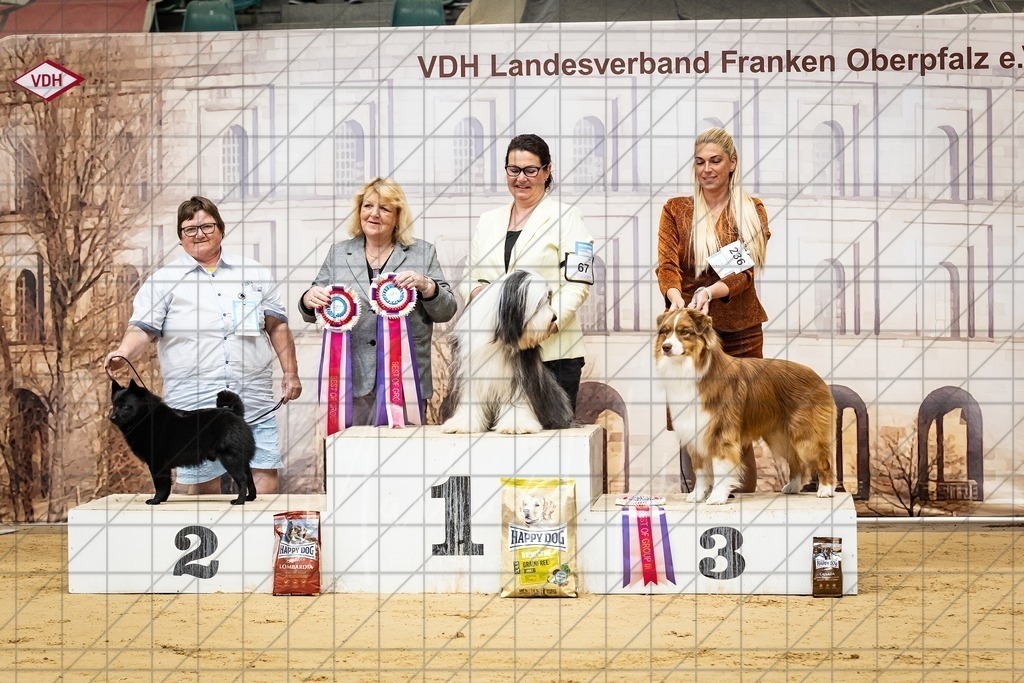 DS - FCI Gruppe 1_0092 | Markus Heber Photography